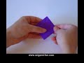 Origami Tulip Flower Instructions