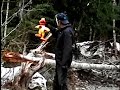 elmo in his many guises is no match for jason vorhees