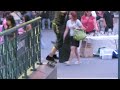 3 Tricks