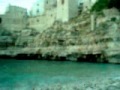 Video of me and my friends