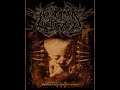My Top 10 Favorite Brutal Breakdowns!