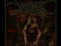 My Top 10 Favorite Brutal Breakdowns!