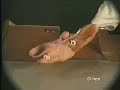 FingerSkate - The Ollie FingerSkate - The Ollie