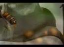 The bees are dyin