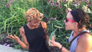 Rattlesnake Master