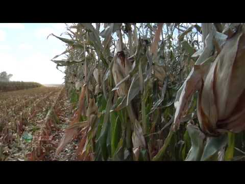 Ag PhD Show #826 (Air Date 2/2/14)