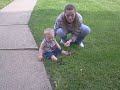 playing with dandelions
