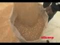 PROYECTO TRIGO DURUM - ALICORP