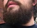 Big burly beards are back in style