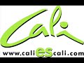 caliescali.com estuvo en el concierto de la orquesta francesa ocho y media, que se realiz� el viernes 25 de julio en la discoteca chang�.