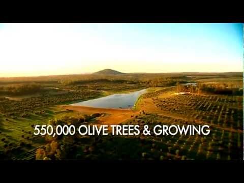 Olive Leaf Australia Open Day 2011