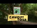 copan ruins, canopy tour and san pedro sula