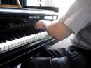Beethoven F�r Elise Endre Hegedus plays