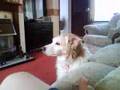 clip video Lionel Richie Everytime