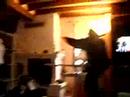 Romain & Alexis Tite dance
