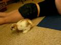 Indy's First Day