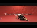 Turtle Twister