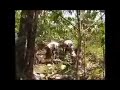 Labuhan Bajo - Maumere Flores
