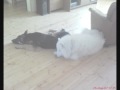Jami.wmv
