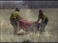 Picnic Rock Wildland Fire, Fort Collins CO Picnic Rock Wildland Fire, Fort Collins CO