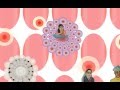 videos de the pink lady