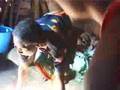 The Azafady Garden Project Southern Madagascar ...