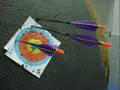Accuracy and Groupings: Thumbrings