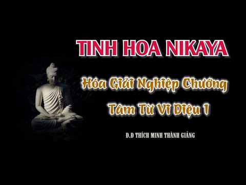 Tinh Hoa NIKAYA - Hóa Giải Nghiệp Chướng - Tâm Từ Vi Diệu 1