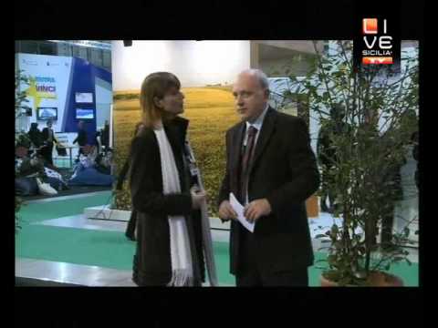 BIT2010.avi