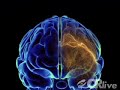 Deep Brain Stimulation
