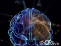 Deep Brain Stimulation