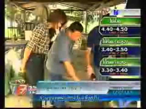 ตามทันเกษตร - สูตรน้ำหมักชีวภาพ เพิ่มผลลิตมันสำปะหลัง ช่วยเพิ่มผลผลิตให้กับแปลงมันสำปะหลัง...
