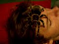 Tarantula crawling on my face