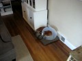 MVI_1224[1]
