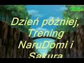 Parodia