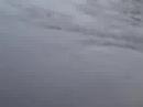 floods of \ floods of \