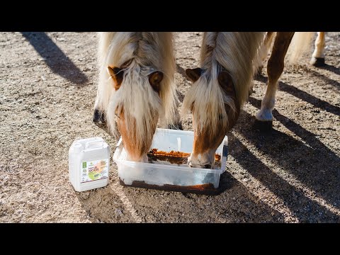 SonnenMoor Naturmoor für Haus- und Heimtiere