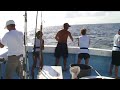 Fishing Destin Florida on Charter Boat Miss Hazel