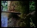 videos de Michael Jackson Earth Song