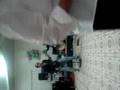 Designio Cosmico