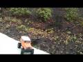 Tamiya CR-01 Landcruiser!  #2