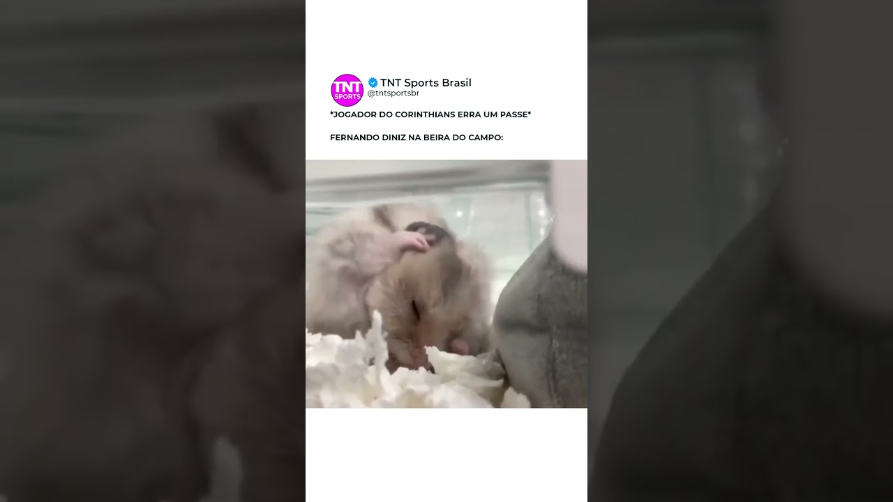 AÍ É SACANAGEM KKKKKKKKKK! BEM-VINDO À LOUCURA, PROFESSOR DINIZ! #shorts