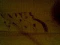 graffiti crosk bubble 2/2