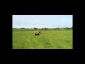 Moving Effluent Irrigator