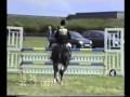 The Humerist Eventing Competition Stallion at stud at stud www.endhousestud.co.uk