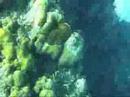 Cozumel 5MP Camera Mask Test Free Dive
