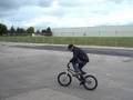 Black Pony BMX