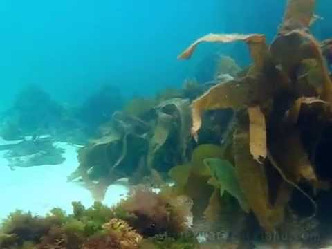 Video di Malinbeg Hostel