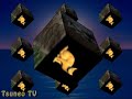 ツネオキューブ　tsuneo cube