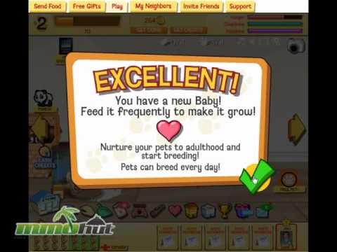 Happy Pets Screenshot 0